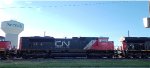 CN 8901